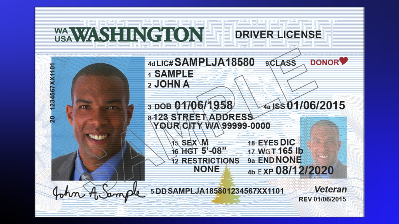 Drivers License Format puregood
